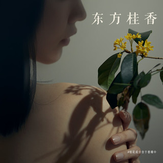  Hair Recipe/发之食谱 丰盈蓬松控油清爽 洗发水  530g