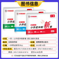 2024一本小升初冲刺新卷语文数学英语全国通用名校冲刺小升初中总复习重点资料专项训练测试卷知识考点大集结真题模拟试卷
