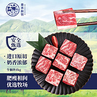 春禾秋牧 进口原切牛腩块1kg 炖煮烧烤 生鲜冷冻牛肉