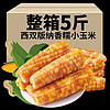 西双版纳花糯小玉米   5斤 A级  版纳直发