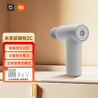 MIJIA 米家 MJJMQ03YM 迷你筋膜枪 浅灰色