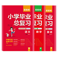 2024版小升初专项训练套装 实验班小学毕业总复习语文数学英语提优训练 （科目任选）