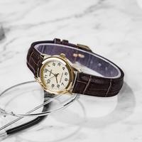 CASIO 卡西欧 手表女休闲简约指针石英女士手表