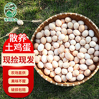 谷物喂养柴鸡蛋 10枚装400g