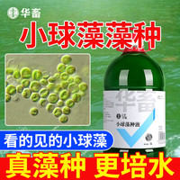 华畜小球藻藻种增氧鱼塘虾蟹塘水产养殖开口绿水藻种肥水培藻硅藻藻种 1桶【小球藻种】5L/桶