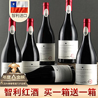 轩唐 Carmina 卡曼尼 智利佳美娜（Carmenere）干型红葡萄酒 6瓶*750ml套装