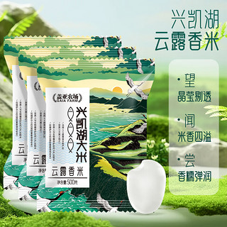 云露香米 500g*3袋