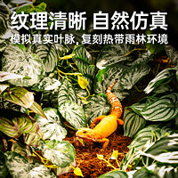 C-LEEN 其鳞 爬宠仿真造景绿植蜥蜴守宫乌龟饲养箱高仿植物雨林缸躲避爬藤