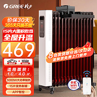 GREE 格力 电油汀取暖器家用电暖器WiFi摇控15片油丁3000W大功率速热大面积电暖气片 15片WiFi遥控3000瓦NY22-S6030B