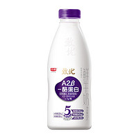 Bright 光明 A2β鲜奶 800ml 家庭装鲜牛奶定期购 24小时鲜