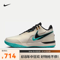 NIKE 耐克 ZOOM LEBRON NXXT GEN AMPD EP 男子篮球鞋 FJ1567-101 43