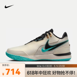 nike耐克zoomlebronnxxtgenampdep男子篮球鞋fj156710143