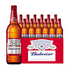 88VIP：Budweiser 百威 美式拉格600ml*12瓶