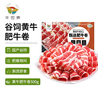 牛世界 黄牛肥牛卷500g/袋 国产谷饲冷冻牛肉卷生鲜牛肉火锅食材