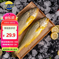 三都港 速冻黄花鱼 2条 700g