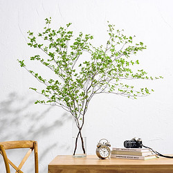 爱黛 吊钟水培植物日本进口绿植马醉木鲜切枝室内好养客厅水养花卉盆栽