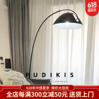 PUDIKIS 意式极简钓鱼灯设计师客厅沙发落地灯简约现代卧室书房氛围灯具 高175cm-三色变光