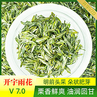 开宇 雨花绿茶  100g