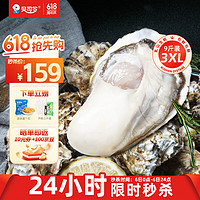 BEISILING 贝司令 鲜活乳山生蚝海鲜贝类3XL单只140g起 净重9斤 21-29只装