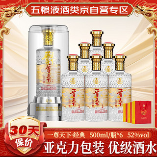 WULIANGYE 五粮液 一尊天下 经典 52%vol 浓香型白酒 500ml*6瓶 整箱装