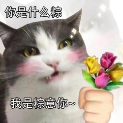 好礼时节｜Vol.115：五月初五，品味端午！端午好礼，“粽”有好价