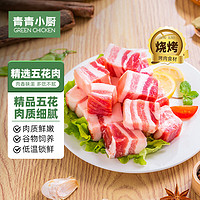 青青小厨 五花肉块1kg   冷冻去皮五花肉猪五花烤肉原料猪肉五花 猪肉生鲜