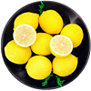 拾枝鲜 黄柠檬 5斤 中果（90g+）