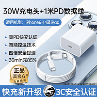 效趣 蘋果專用PD快充30W充電套裝