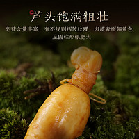 CBM GINSENG 长白山人参 新鲜人参东北特产保鲜参人参泡酒煲汤专用品牌直发正品