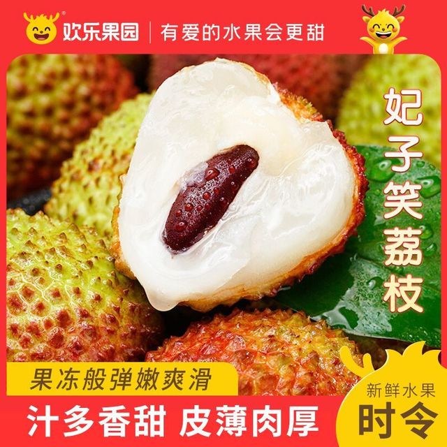Joy Tree 欢乐果园 海南妃子笑荔枝整箱大果4.5斤包邮新鲜当季