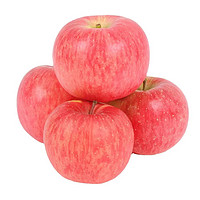 雪束 烟台红富士苹果  小果9斤（单果75-80mm）