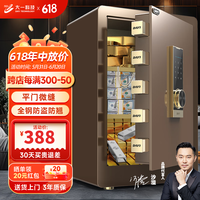 大一大一保险柜家用办公小型指纹密码保险箱全钢防盗可保密保管柜入墙 60cm精金三层空间密码款