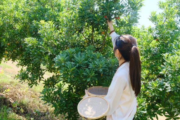 周末中秋不加价!包邮区的桃花源,环境极佳!长兴密静君澜度假酒店 多种房型1-2晚套餐(含双早+欢迎水果等)