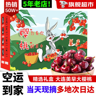 句可樱桃车厘子水果 国产美早大樱桃 新鲜时令水果生鲜整箱 精选美早大樱桃 5斤装 J级26MM-28MM 净重4.5斤