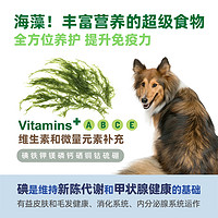 Natural Animal Solutions 澳洲NAS海藻粉狗狗黑鼻头美毛护肤猫咪宠物卵磷脂犬用猫用爆毛粉