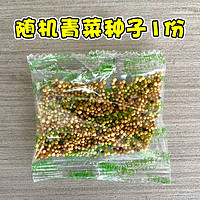 原起点 速生青菜种子大全鸡毛菜上海青油麦菜小白菜奶油快菜阳台四季蔬菜 随机青菜种子1份