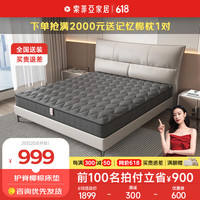 索菲亚家品床垫 棕榈椰棕床垫软硬棕垫床垫乳胶床垫 卧室护脊榻榻米垫子 B款-护脊椰棕床垫 1500*2000mm