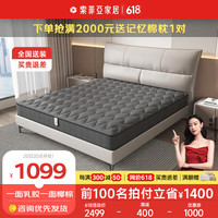 索菲亚家品床垫 棕榈椰棕床垫软硬棕垫床垫乳胶床垫 卧室护脊榻榻米垫子 B款-护脊椰棕床垫 1800*2000mm