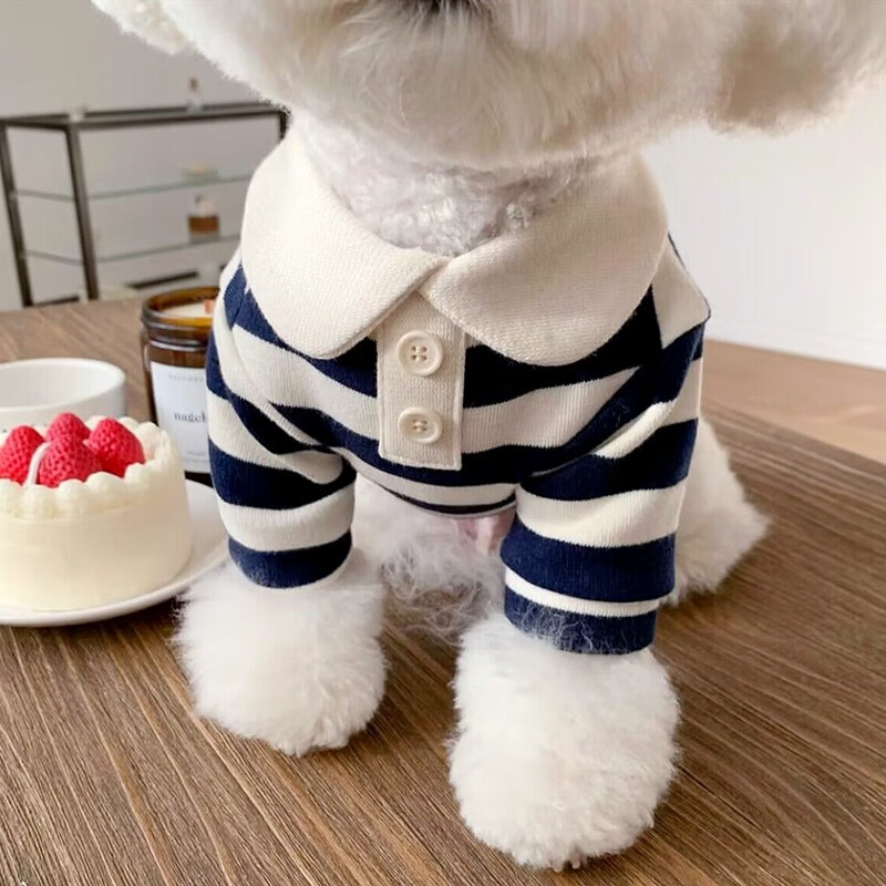 小冻狗狗夏季衣服薄款透气短袖休闲可爱风小型犬衣服宠物防掉毛春夏装