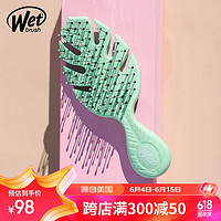 Wet Brush 美国进口气垫按摩梳(环保顺发梳)龙骨梳便携梳子5673