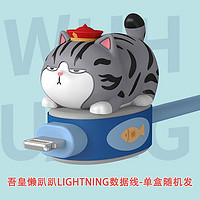 MIX-STYLE 吾皇万睡盲盒巴扎黑懒趴趴LIGHTNING数据线礼品桌面摆件六一儿童节礼物