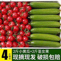 百億補貼：澳農卡圣女果水果小黃瓜新鮮西紅柿子櫻桃番茄千禧青瓜生吃2/4斤