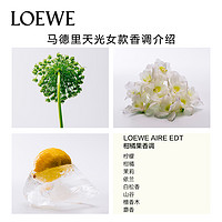 LOEWE 罗意威 天光系列女士香水 奇迹天光淡香水EDT 50ml