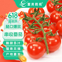 富美鹤城 河南串收樱桃番茄新鲜小西红柿酸甜多汁水果番茄198g*4串源头直发