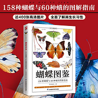 蝴蝶图鉴 蝴蝶和蛾的实用鉴赏指南