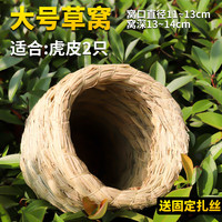 纳学鸟窝鹦鹉窝草鸟巢玄凤虎皮珍珠鸟窝椰子壳椰壳鸟窝草窝玩具用品 大号