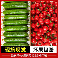 百亿补贴：夏趣 圣女果山东小番茄小西红柿水果小黄瓜组合新鲜现摘生吃