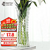 墨斗鱼 玻璃花瓶北欧轻奢30cm水培富贵竹玫瑰百合插花器六角斜纹花瓶