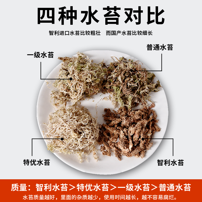 水苔无菌智利干水苔蝴蝶兰花营养土苔藓石斛食虫植物