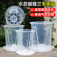 水苔蝴蝶兰花盆透明青山控根盆加厚大号透气兰花塑料花盆家用